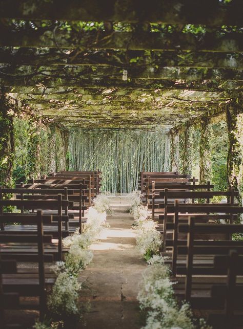 25 Lush Secret Gardens, Glasshouses & Greenhouses | Bellefield Greathouse & Gardens Wedding Aisles, Wedding Aisle Outdoor, Garden Chic Wedding, Wedding Ceremony Ideas, Destination Wedding Locations, Mod Wedding, Wedding Aisle, Outdoor Wedding Ceremony, Woodland Wedding