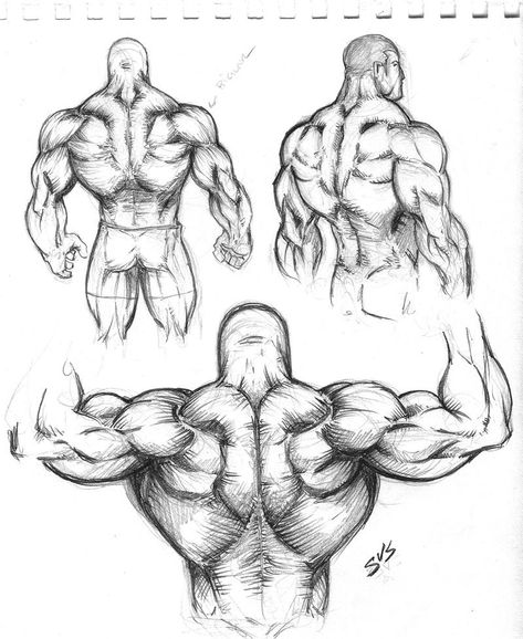 Muscular Back Study 01 by spacehater on DeviantArt Human Anatomy Drawing, Body Sketches, Human Figure Drawing, Human Anatomy Art, Anatomy Sketches, 캐릭터 드로잉, Concept Art Drawing, Figure Drawing Reference, Guy Drawing