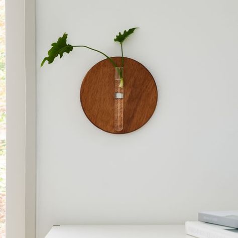 Flower Pots & Planters | West Elm Round Wood Shelf, Propagation Station Diy, Charleston Living, Hanging Propagation, Stem Plant, Social Bar, Vase Plant, Propagation Station, Wall Planters