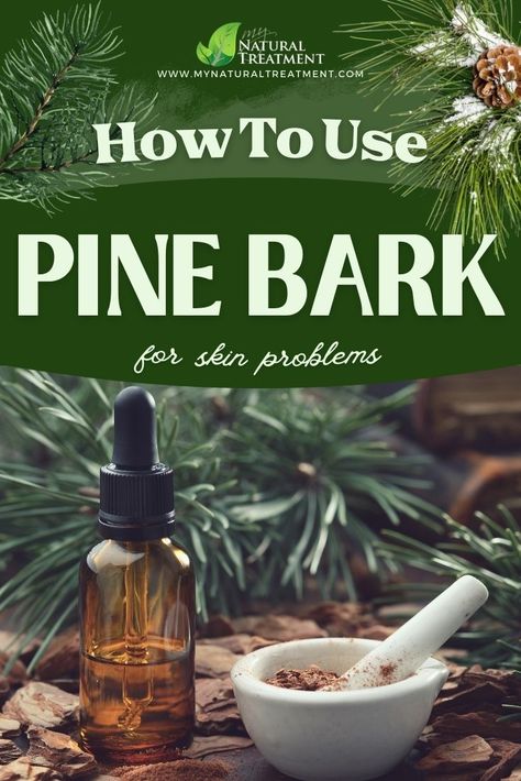 How to Use Pine Bark for Skin Problems #pine #pinebark #pinebarkuse #pinebarkuses Tree Buds, Herbal Remedies Recipes, Pine Bark, Oil Cleansing, Natural Recipes, Herbal Recipes, Herbal Apothecary, Cleansing Oil, Natural Treatments