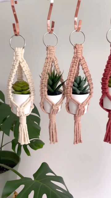 Mini Plant Hanger, Mini Macrame Plant Hanger, Plant Hanger Diy, Macrame Mini, Simple Macrame, Mini Plant, Fiber Crafts, Rainbow Macrame, Diy Macrame Plant Hanger