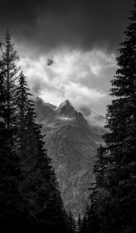 Black And White Mountain Photography, Dark Mountain Aesthetic, Calm Photos, Black And White Mountains, Dark Mountains, Mountain Aesthetic, Mountains Aesthetic, Black Metal Art, Forest Aesthetic