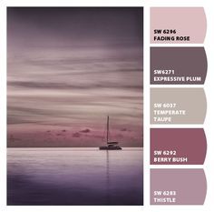 Mauve Bathroom, Mauve Bedroom, Bathroom Paint, Color Schemes Colour Palettes, Bathroom Paint Colors, Pallet Painting, Bedroom Paint Colors, Color Palette Design, Bedroom Paint