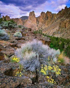 Top 10 Fall color Hikes in the Bend, Oregon area! – Mike Putnam Landscape Photography | Fine Art landscape Images by Bend, Oregon Photographer, Mike Putnam Oregon Landscape, Oregon Living, Beautiful Oregon, Landscape Images, Eastern Oregon, Fine Art Landscape Photography, Desert Life, Oregon Washington, High Desert