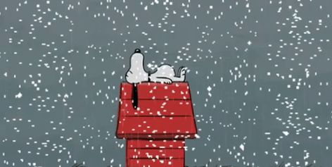 New trending GIF on Giphy Snow Day Gif, Sleepy Snoopy, Christmas Animated Gif, Snoopy Gifs, Christmas Tree Gif, Winter Gif, Xmas Gif, Faire Son Budget, Snoopy Dance