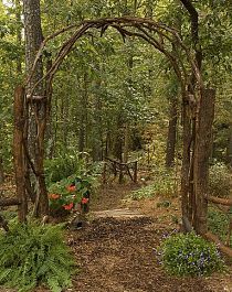 Beautiful arch for the garden made with fallen trees and muscadine vines pulled from the trees....I want this in my yard! Garden Beds Around House, Woods Hangout Spot, Woodland Landscaping, Backyard Woods, Forest Landscaping, Rustic Trellis, Corner Landscaping, Woods Landscape, Forest Gardens