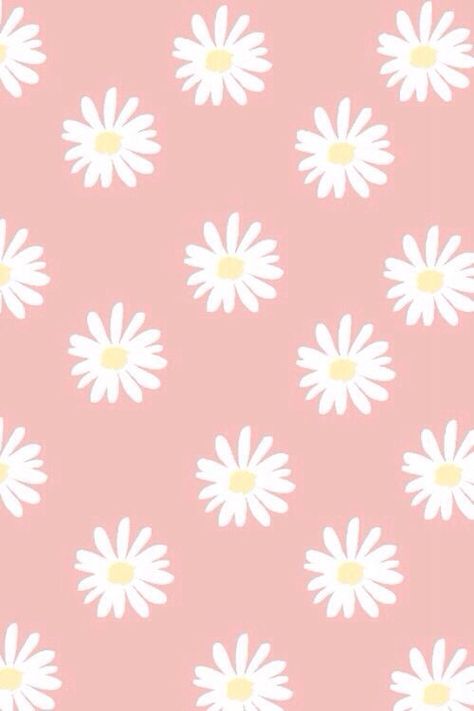 Daisy Wallpaper iPhone 4/4S and iPhone 5/5S/5C iphonetokok-infinity.hu galaxytokok-infinity.hu Floral Tumblr, Tumblr Flower, Frühling Wallpaper, Tumblr Iphone Wallpaper, Cute Iphone Wallpaper Tumblr, Tumblr Iphone, Sassy Wallpaper, Pink Flowers Wallpaper, Daisy Wallpaper