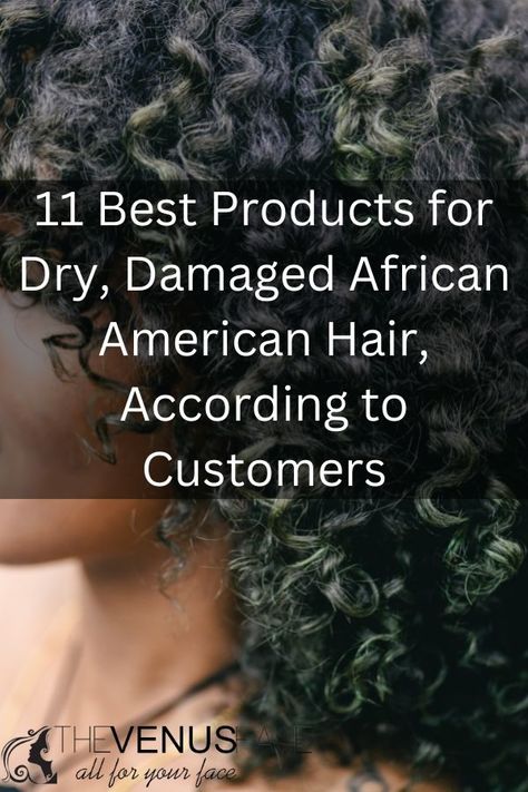 11 Best Products for Dry, Damaged African American Hair 2024 Extremely Dry Hair, Products For Damaged Hair, African American Hair Care, Dry Natural Hair, African American Hair, Stop Hair Breakage, Damage Hair Care, Good Shampoo And Conditioner, Hair Mistakes