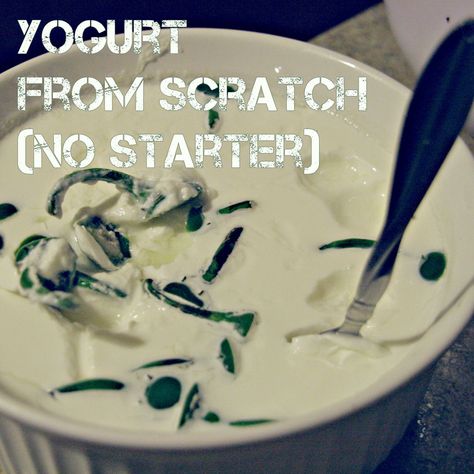 Yogurt From Scratch, Yogurt Starter Culture, Homemade Coconut Yogurt, Yogurt Starter, Homemade Yogurt Recipes, Diy Yogurt, Making Yogurt, Milk Products, Yogurt Flavors