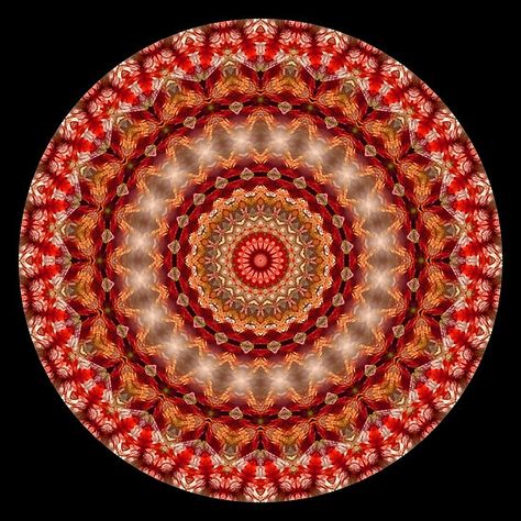 Red Fractal Kaleidoscope Pattern by fantasytripp Kaleidoscope Pattern, Kaleidoscopes, Creating Art, Digital Artwork, Decorative Plates, Outdoor Blanket, Red, Pattern, Quick Saves