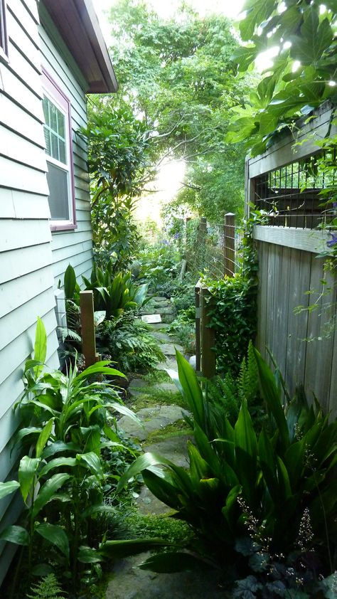 Shady Alleyway Garden, Garden Alley, Alley Garden, Side Path, Portland Garden, Oregon Garden, Narrow Garden, Side Yard Landscaping, Ferns Garden