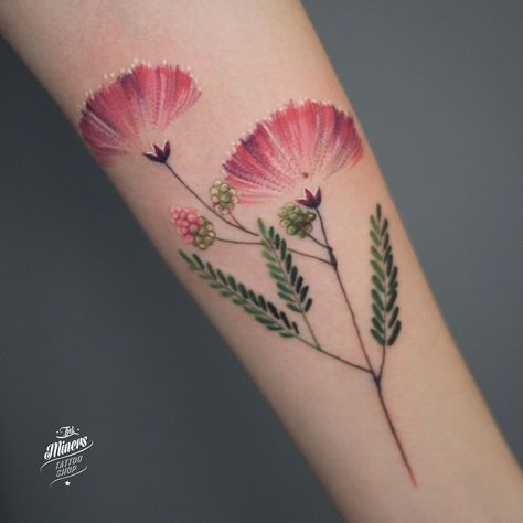 @magdalena_bujak Persian Silk Tree Tattoo, Mimosa Tree Tattoo, Mimosa Flower Tattoo, Persian Silk Tree, Mushroom Tattoos, Delicate Tattoo, Silk Tree, Memorial Tattoos, Time Tattoos