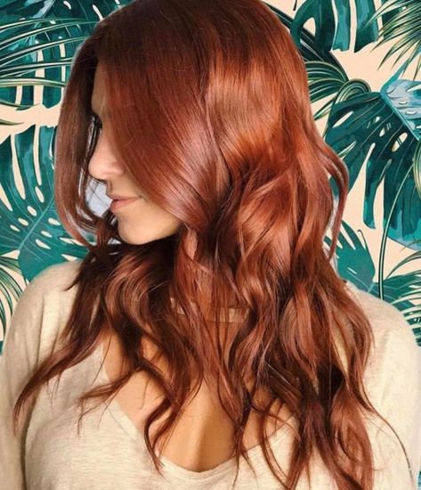 Cinnamon Gold Hair is the Latest Low-Maintenance Hair Color Trend for Spring Cinnamon Hair Color, Cinnamon Hair Colors, Cinnamon Hair, Fall Hair Color Trends, Hair Color Auburn, Low Maintenance Hair, Hair Color Highlights, Auburn Hair, Fall Hair Color