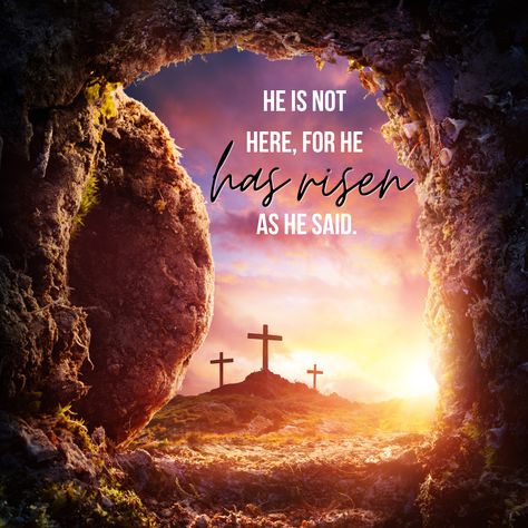 HE IS RISEN! Hallelujah! He is risen indeed! #heisrisen #jesussaves #sacrificiallove #emptytomb #easter Christ Risen Easter, Happy Easter Jesus Quotes, Jesus Christ Has Risen Today, Easter Risen Jesus, He’s Risen, Jesus Risen Pictures, He Is Risen Background, Christ Has Risen Easter, He Is Not Here For He Has Risen Quotes