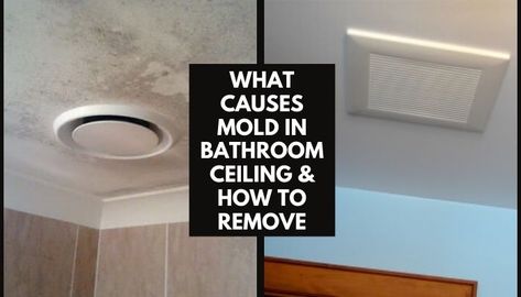 Mold On Bathroom Ceiling, Clean Black Mold, Bathroom Vent, Mold In Bathroom, Cleaning Mold, Bathroom Ceiling, What To Use, Mold Remover, In Bathroom