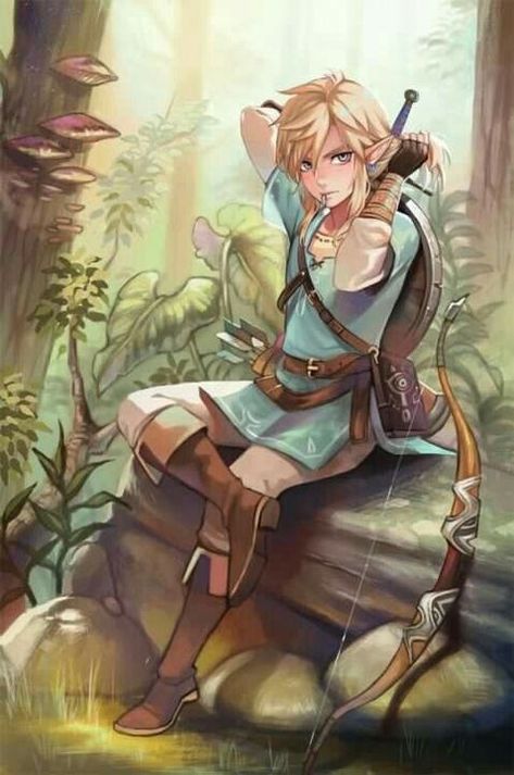 The legend of (y/n) (Link x reader x Dark Link oneshots) - My Present to you all is...! - Wattpad Kakariko Village, Link Botw, Hyrule Castle, Princesa Zelda, Tears Of The Kingdom, Link Art, Wind Waker, Link Zelda, Zelda Art