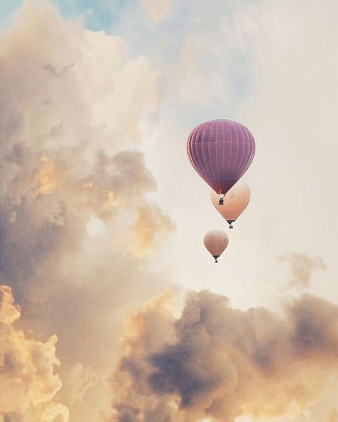 Balloons Photography, الفن الرقمي, Up To The Sky, Air Balloon Rides, Hot Air Balloons, Air Balloons, Aesthetic Backgrounds, Hot Air Balloon, Air Balloon