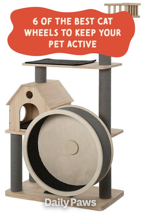 Tree Activity, Cat Exercise Wheel, Interesting Activities, Nice Furniture, Diy Cat Tree, Hamster Wheel, Cat Exercise, Cat Activity, Furniture Scratches