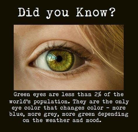 Green Eyes Facts, Eyes Facts, Eye Color Facts, Hazel Green Eyes, Eye Facts, Cool Science, Cool Science Facts, Number Plates, Science Facts