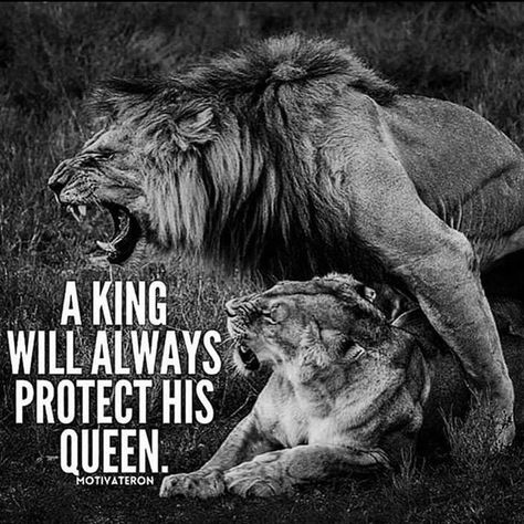 And a king will ALWAYS protect his queen. King Queen Quotes, Empowered Quotes, Lioness Quotes, Lion Quotes, His Queen, Lion Love, King Quotes, Soothing Quotes, Soulmate Love Quotes