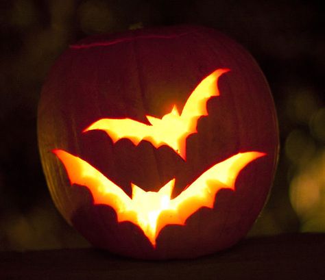 30+ Best Cool, Creative & Scary Halloween Pumpkin Carving Designs ... Pumpkin Carving Bat, Craving Pumpkins, Halloween Pumpkins Carvings Designs, Awesome Pumpkin Carvings, Cute Pumpkin Carving, Halloween Pumpkin Carving, Scary Halloween Pumpkins, Pumkin Carving, Halloween Pumpkin Carving Stencils