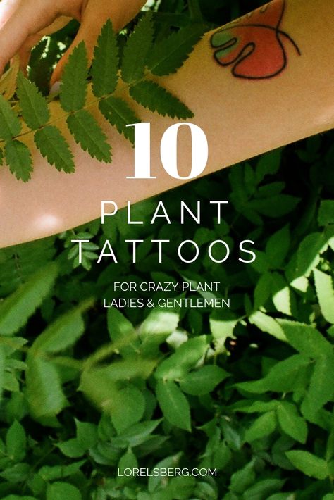 Plant tattoos for plant lovers | Happy Nature Blog | Lorelsberg Tattoos For Gardeners, House Plant Tattoos, Houseplant Tattoo Ideas, Plant Lady Tattoo, Snake Plant Tattoo, Monstera Tattoo Design, Monstera Plant Tattoo, Pathos Tattoo, House Plant Tattoo