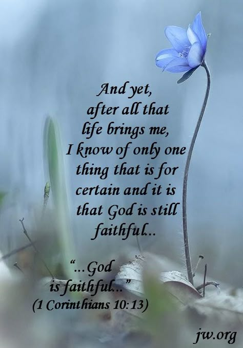 Good Morning Scripture Quotes Faith, Faith Journey Quotes, Believe Quotes Faith Inspiration, Good Morning Inspirational Quotes Faith, Good Morning Spiritual Quotes Scriptures, Inspirational Quotes God Faith, Encourage One Another, God Is Faithful, Quotes Faith