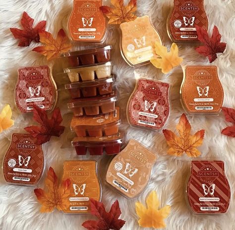 Fall is just my absolute favorite! Im in live with all my Scentsy fall scents! 😍💕Which one makes you feel super homey? Any fall fans? 🍂 Scentsy September 2023, Fall 2023 Scentsy, Scentsy Fall Winter 2023 Scents, Fall Scentsy Banner, Scentsy Fall Winter 2023/2024, Scentsy Fall Winter 2023, Scentsy Fall, Scentsy Candles, Scentsy Ideas