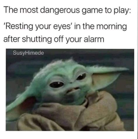 Yoda Quotes, Yoda Meme, Star Wars Meme, Yoda Funny, Star Wars Jokes, Hayden Christensen, Sassy Quotes, Star Wars Humor, Star Wars Memes