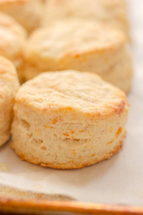 Buttermilk Parmesan Biscuits recipe is the perfect addition to any dinner or breakfast. A bit salty, a bit tangy and a whole lot of good. Make them today. Southern Buttermilk Biscuits, Baking Breads, Cats Quotes, Southern Biscuits, Buttermilk Biscuits Recipe, Best Banana Pudding, Country Cook, The Country Cook, Country Cooking