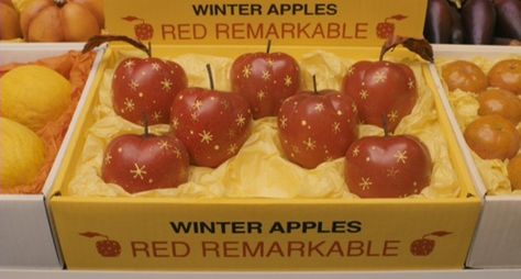 "These apples may look fake, but at least they have stars on them." Wes Anderson Aesthetic, Fox Party, Fantastic Fox, Wes Anderson Movies, Wes Anderson Films, Fantastic Mr Fox, I Love Cinema, Mr Fox, Wes Anderson