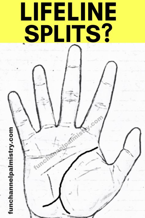 What is the meaning of life line getting split into two parts in palmistry Palm Reading Lines, Palm Reading Charts, Divorce Signs, Palmistry Reading, Marriage Signs, Palm Lines, Palm Reader, Magick Symbols, Palm Reading