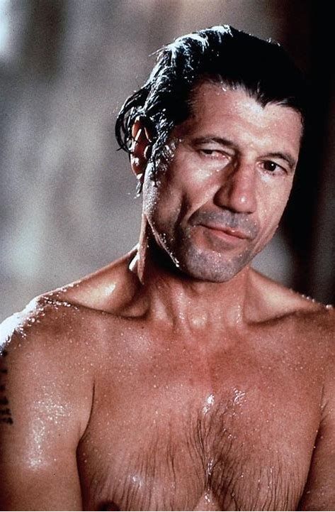 Fred Ward, Man Candy, Celebrities Male, Jon Snow, More Photos, Game Of Thrones Characters, Actors, Film, Celebrities