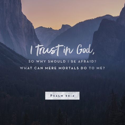 I trust in God, so why should I be afraid? What can mere mortals do to me? Vertrouw Op God, Psalm 56, Trust In God, Ayat Alkitab, Study Tools, I Trust, Praise God, Daily Bible, Verse Of The Day