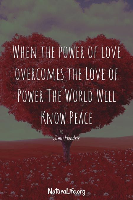 When The Power Of Love, The Power Of Love Quotes, When The Power Of Love Overcomes, Power Of Love, Power Of Love Quotes, Strength Bible Quotes, African Proverb, Words Of Wisdom Quotes, Spiritual Encouragement