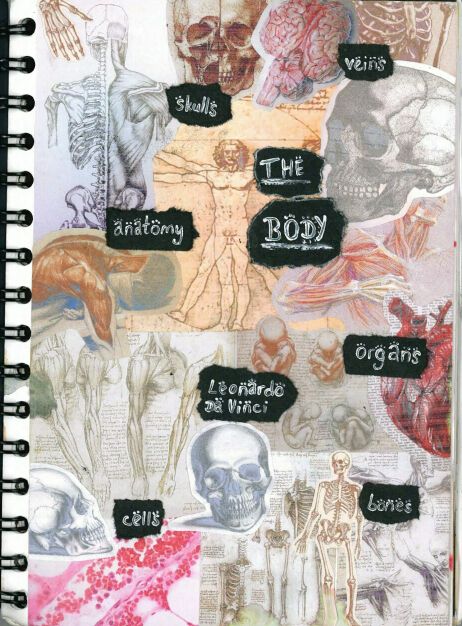 Year 10 - The Body - Visual mind map Anatomy Mind Map, Mind Map Ideas Art Gsce, Mind Map Design Creativity, Close Up Art Gcse Mind Map, Gsce Art Mind Maps, Power Art Gcse Mind Map, Alevel Art Mind Maps, A Level Art Sketchbook Mind Map, A Level Art Mind Map