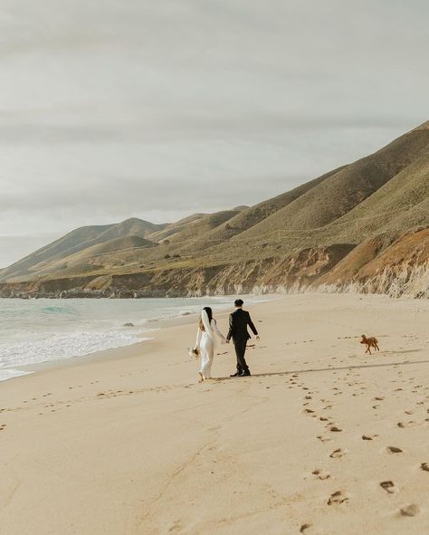 Big Sur + Carmel Wedding Photo + Video (@nadeensparksphoto) • Instagram photos and videos Carmel Photoshoot, Modern Engagement Photos, Carmel Weddings, Big Sur Wedding, Carmel Valley, Engagement Photo Ideas, By Your Side, Big Sur, Engagement Photo