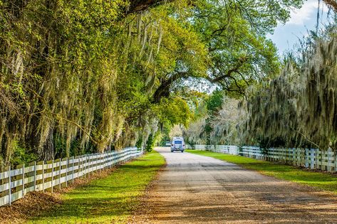 10 Best Road Trips near New Orleans - Escape to Louisiana This Weekend! – Go Guides Biloxi Lighthouse, Battle Of New Orleans, Lake Pontchartrain, Best Road Trips, Scenic Road Trip, Scenic Roads, Ghost Tour, Scenic Byway, Road Trip Fun