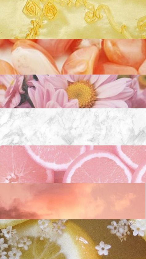 Pan Flag Wallpaper Aesthetic, Pangender Wallpapers, Cottagecore Pride Wallpaper, Queer Flag Wallpaper Subtle, Lgbtq Backgrounds Aesthetic, Pride Wallpapers Pansexual, Lgbtq Pride, Pride Flags, Wallpaper Iphone Cute