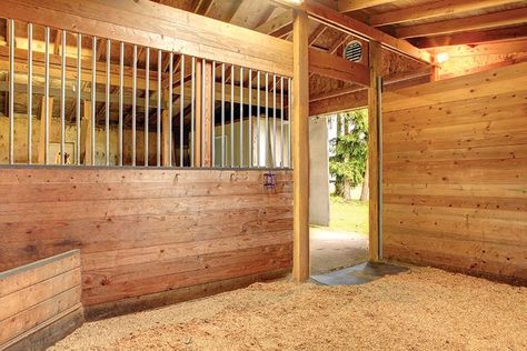 Stall Flooring, Horse Farm Ideas, Horse Barn Ideas Stables, Barn Stalls, Horse Barn Designs, Horse Shelter, Dream Horse Barns, Horse Barn Plans, Horse Stall