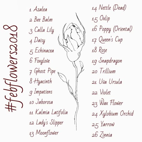 Flower Prompts, February Days, Oc Profile, February Flowers, February Flower, Draw Challenge, Blank Drawing, Bouquet Drawing, Sketchbook Prompts