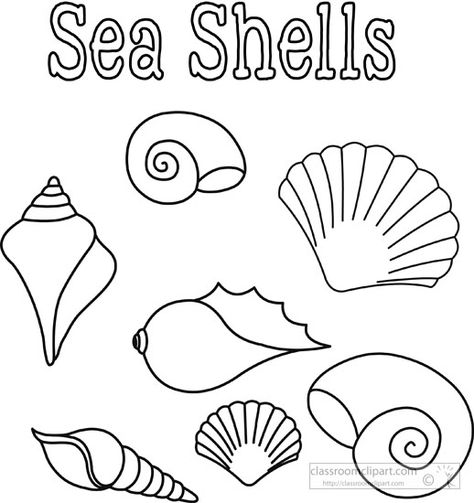 Seashells Template, Starfish Drawing, Seashell Clipart, Seashell Drawing, Black And White Clipart, Shell Drawing, Classroom Clipart, Ocean Crafts, Sea Theme