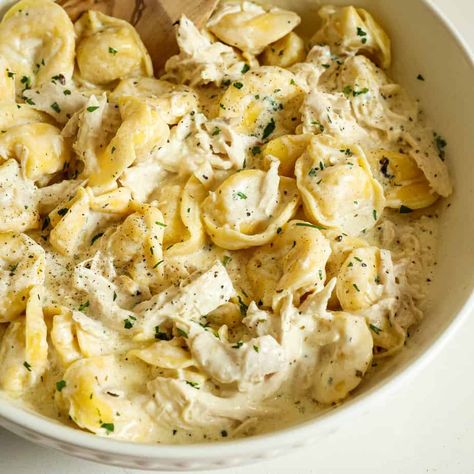 Chicken For Chicken Alfredo, Chicken Tortellini Alfredo, Tortellini Alfredo, Small Town Woman, Tuscan Chicken Pasta, Chicken Tortellini, Tortellini Pasta, Homemade Alfredo, Cajun Chicken Pasta