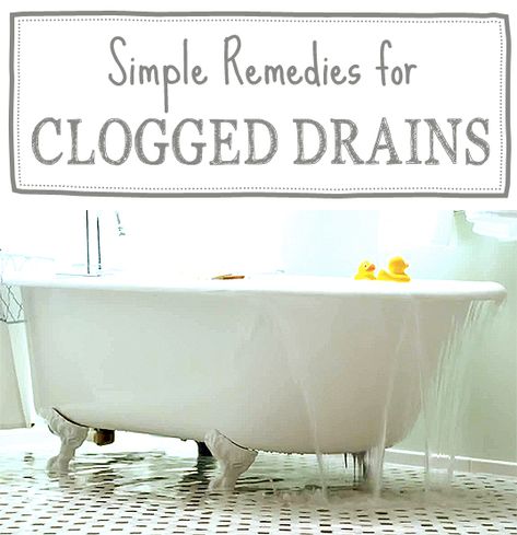 Nobody likes a clog! But before you reach for the Drano, learn how to clean a clogged drain without calling a plumber or using nasty chemicals. Clogged Drains, Homemade Toilet Cleaner, Hardwood Floor Cleaner, One Good Thing By Jillee, Cleaning Painted Walls, Glass Cooktop, Deep Cleaning Tips, Clogged Drain, Simple Life Hacks