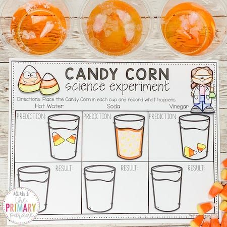 Halloween science experiment with candy corn is a fun way to explore science this Fall. Your students will love this Candy Corn experiment and discover what happens when this fall candy is placed in different liquids. Candy Corn Science Experiment, Corn Science Experiment, Candy Corn Science, Science Experiment Worksheet, Fall Science Activities, Prek Activities, Work Planning, Science Area, Night Creatures