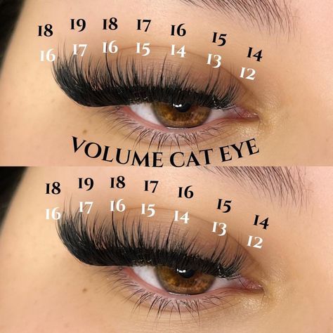 Cat Eye Mapping, Eye Mapping, Wispy Cat Eye, Lash Maps, Lashes Tutorial, Lashes Fake Eyelashes, Lash Tweezers, Eyelash Tips, Eyelash Technician