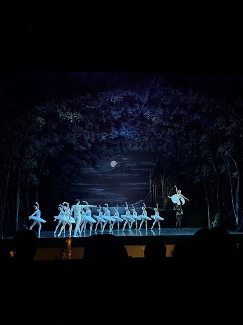 Swan Lake Theater, Watching Ballet Aesthetic, Ballet Theater Aesthetic, Ballet Theatre Aesthetic, Nyc Ballet Aesthetic, Ballet Show Aesthetic, Russian Ballet Aesthetic, Ballet Concert, Ballet Show