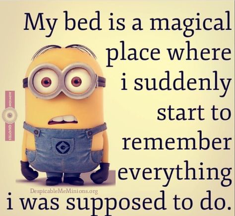 Cute Minion Quotes, Minion Humor, Funny Quotes Wallpaper, Minion Memes, Funny Mean Quotes, Life Knowledge, Funniest Photos, Funny Minion Pictures, Funny Minion Memes