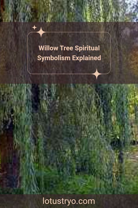 The willow tree holds a rich spiritual significance in various cultures and traditions. Known for their resilience, willows symbolize flexibility, renewal, and inner strength. The flowing branches connect to themes of flowing emotions and grace, making the willow tree a powerful emblem of healing and balance. People often seek the spiritual meaning of willow trees when looking to find peace during tumultuous times. Discover how this amazing tree represents protection, comfort, and transformation, helping individuals navigate life’s ups and downs. Plant Meanings, Willow Trees, Long Branch, Weeping Willow, Alexander The Great, Spiritual Meaning, Willow Tree, Navigating Life, Find Peace