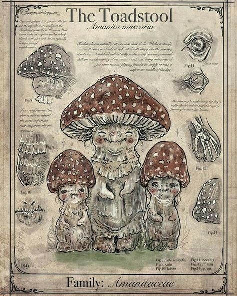 Drawing Mushrooms, Magical Creatures Mythology, Mystical Creatures Mythology, Herbarium Art, Fantasy Creatures Mythology, Mushroom Illustration, Baba Jaga, Mythical Monsters, Fantasy Creatures Art